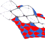 Cross section through cellular structure.